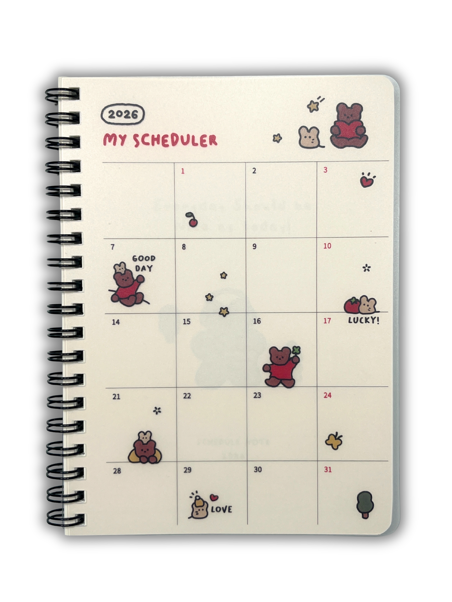 DAILY DIARY - SPRING DATE