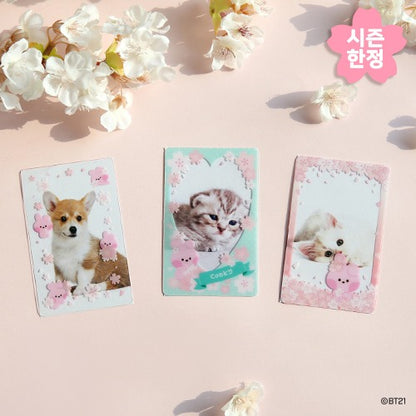 BT21 minini PHOTO CARD FRAME [CHERRY BLOSSOM]