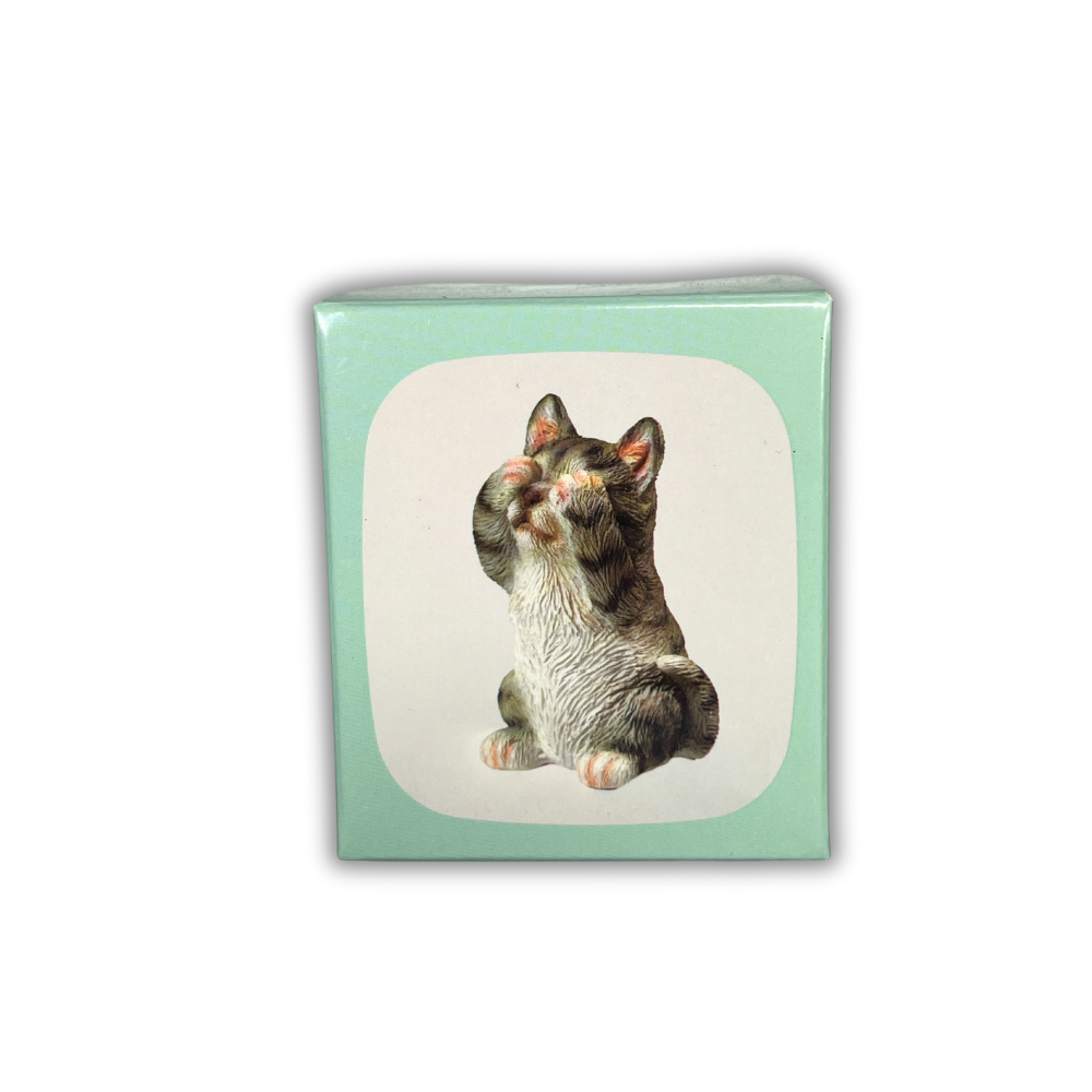 BLIND BOX - MINI FIGURE CAT